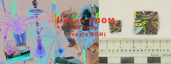 прущий лед Бородино