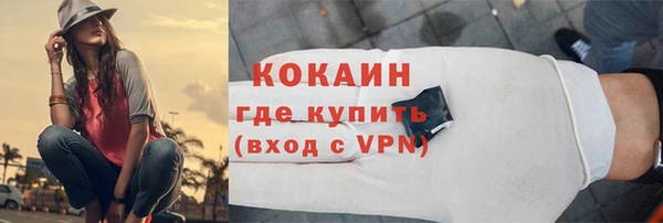 прущий лед Бородино