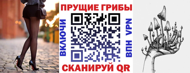 omg онион  Ростов  Псилоцибиновые грибы GOLDEN TEACHER 